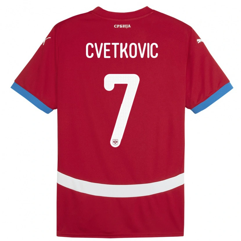 Danxen Børn Serbien Mihajlo Cvetkovic #7 Rød Hjemmebane Spillertrøjer 24-26 Trøje T-Shirt