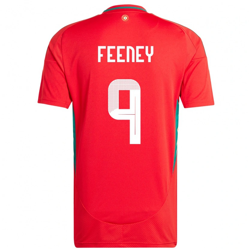 Danxen Børn Wales George Feeney #9 Rød Hjemmebane Spillertrøjer 24-26 Trøje T-Shirt