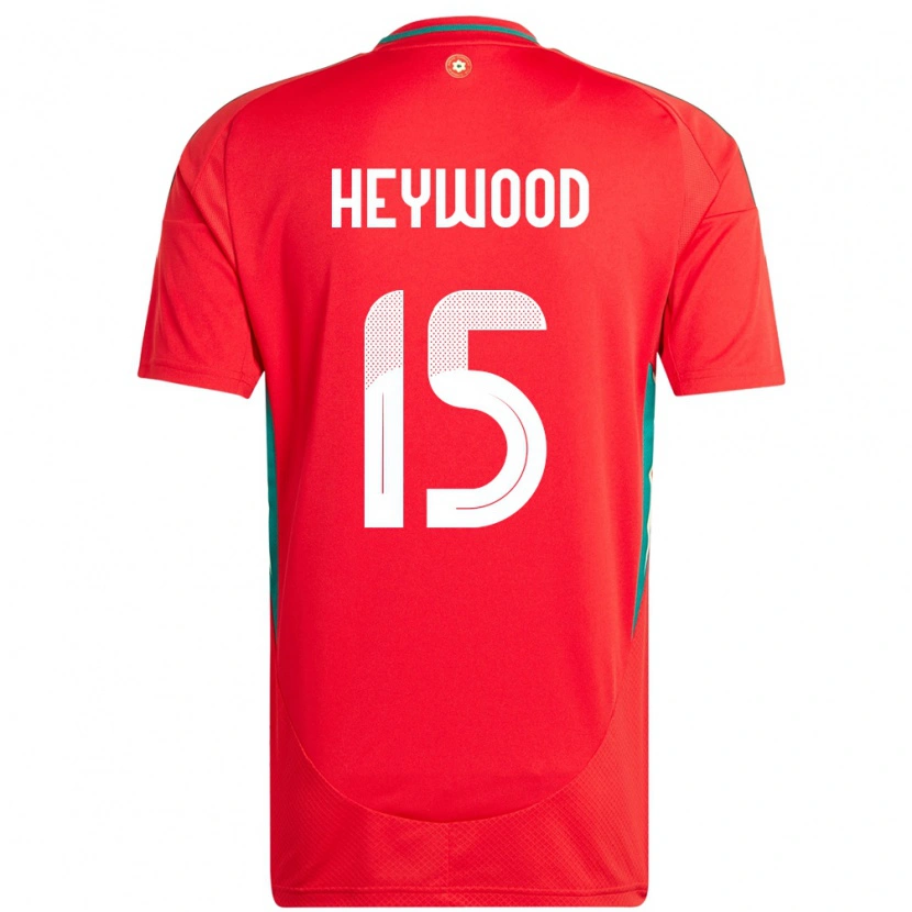 Danxen Børn Wales Carter Heywood #15 Rød Hjemmebane Spillertrøjer 24-26 Trøje T-Shirt