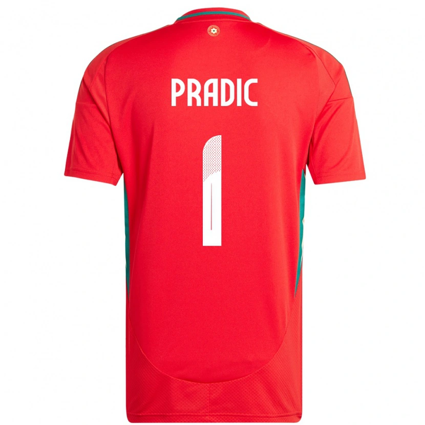 Danxen Børn Wales James Pradic #1 Rød Hjemmebane Spillertrøjer 24-26 Trøje T-Shirt