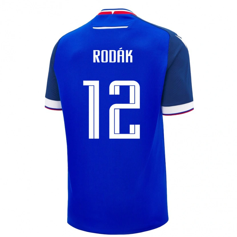 Danxen Børn Slovakiet Marek Rodák #12 Blå Hjemmebane Spillertrøjer 24-26 Trøje T-Shirt