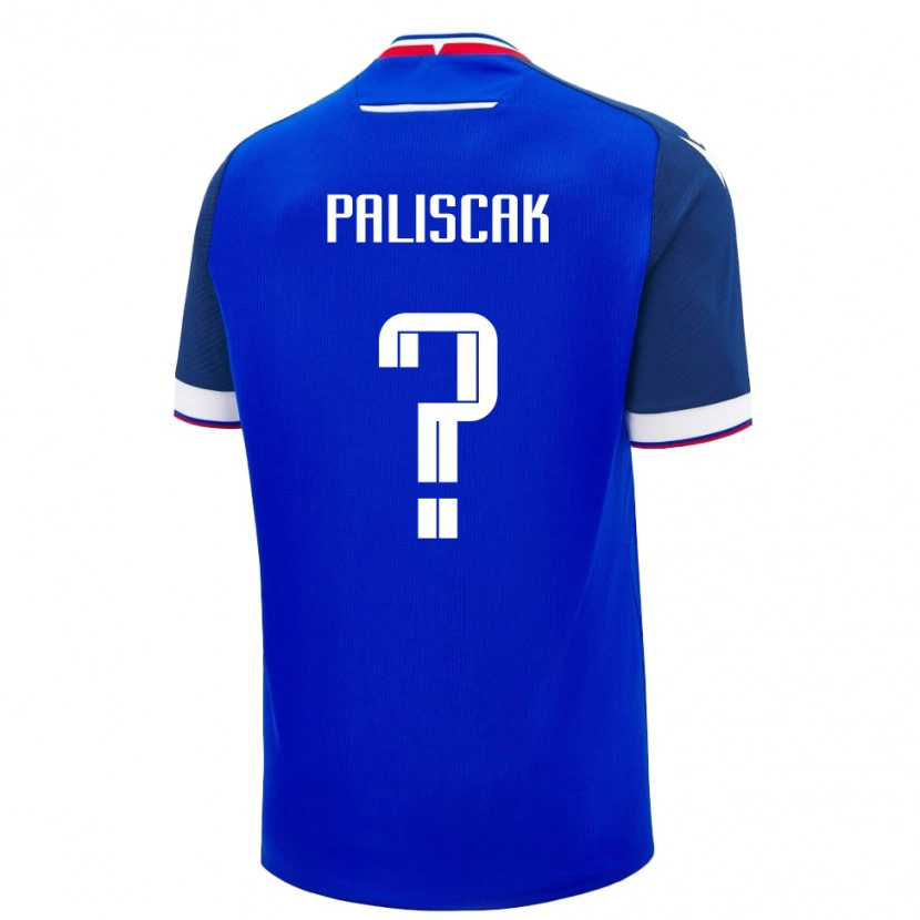 Danxen Børn Slovakiet Tobias Paliscak #0 Blå Hjemmebane Spillertrøjer 24-26 Trøje T-Shirt