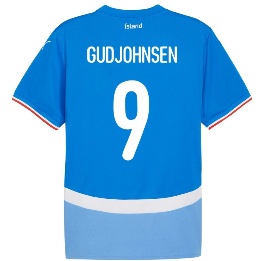 Danxen Børn Island Daníel Gudjohnsen #9 Blå Hjemmebane Spillertrøjer 24-26 Trøje T-Shirt