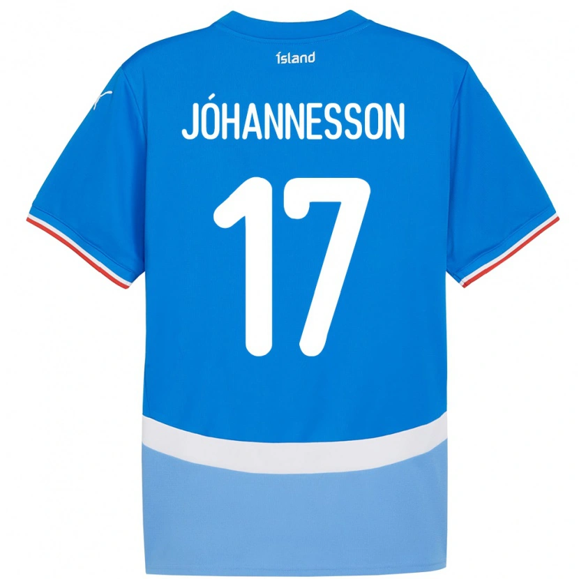 Danxen Børn Island Daniel Jóhannesson #17 Blå Hjemmebane Spillertrøjer 24-26 Trøje T-Shirt