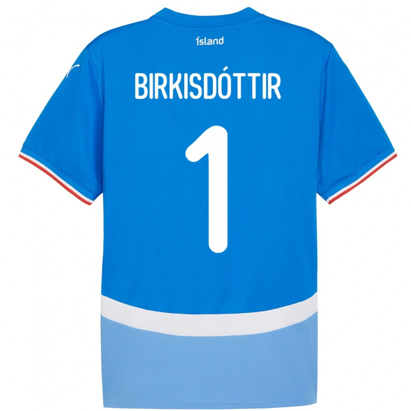 Danxen Børn Island Fanney Inga Birkisdóttir #1 Blå Hjemmebane Spillertrøjer 24-26 Trøje T-Shirt