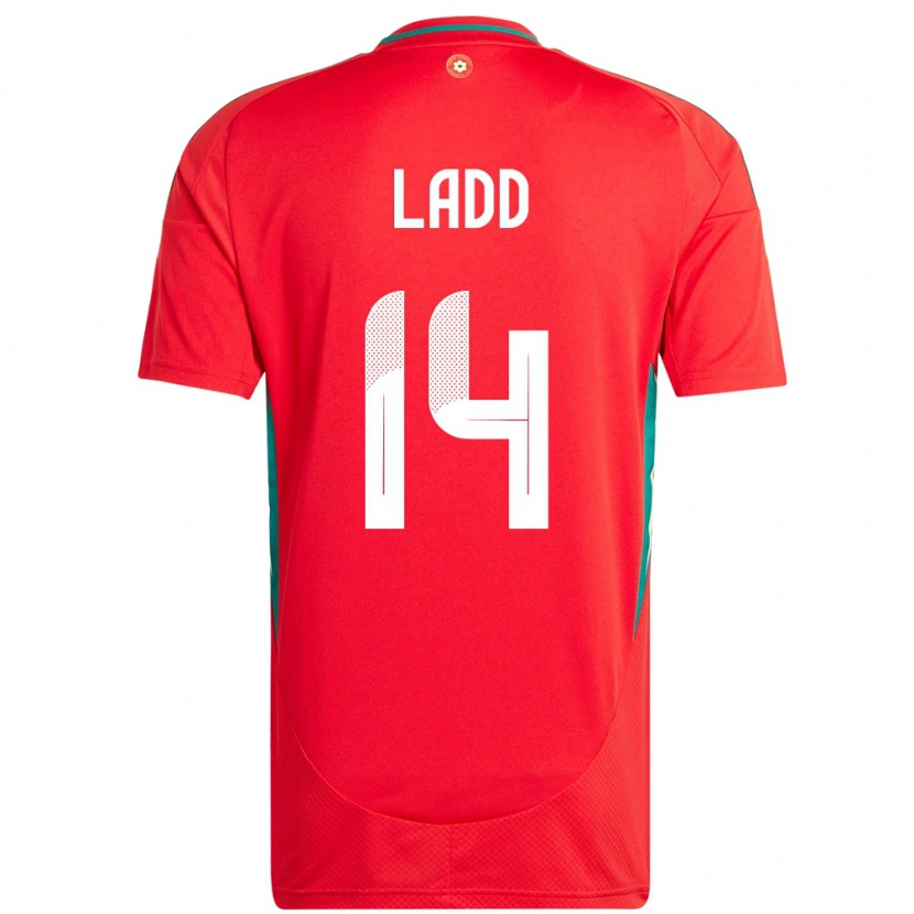 Danxen Mænd Wales Hayley Ladd #14 Rød Hjemmebane Spillertrøjer 24-26 Trøje T-Shirt