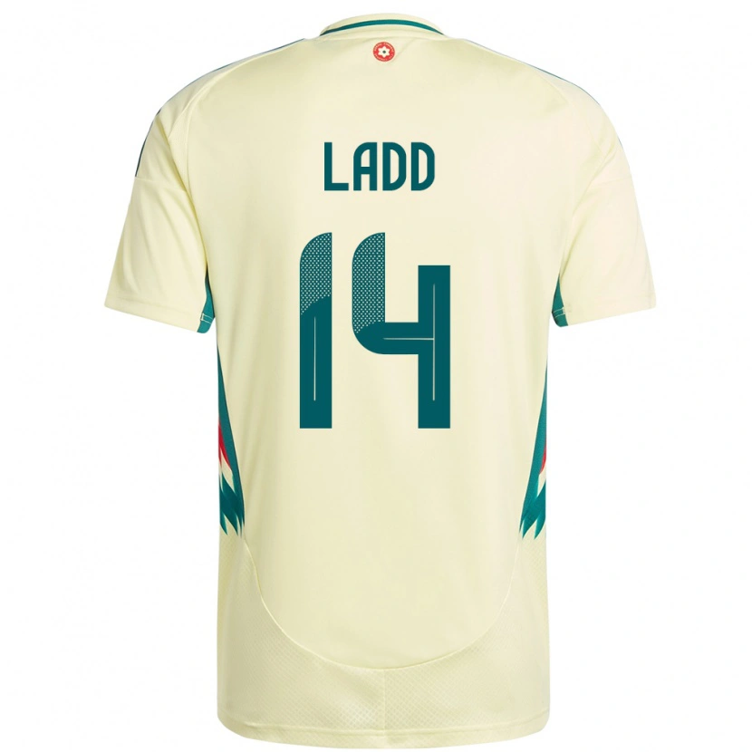 Danxen Mænd Wales Hayley Ladd #14 Beige Gul Udebane Spillertrøjer 24-26 Trøje T-Shirt