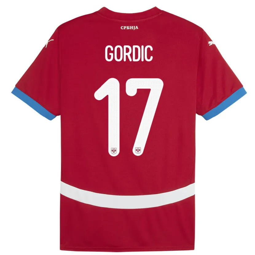 Danxen Børn Serbien Djordje Gordic #17 Rød Hjemmebane Spillertrøjer 24-26 Trøje T-Shirt