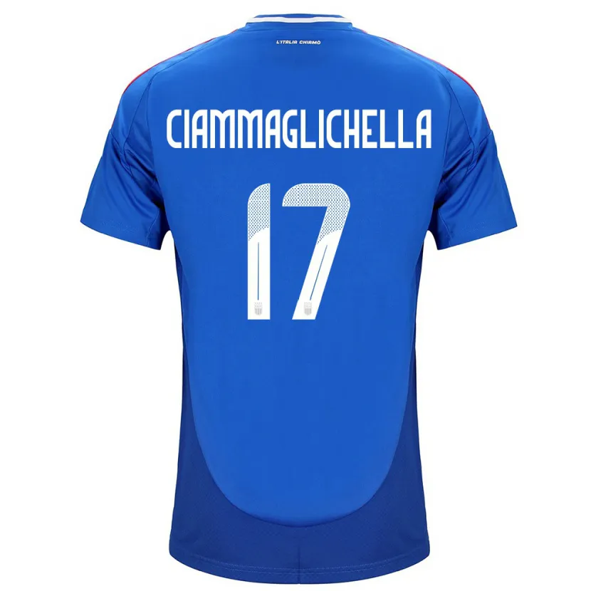 Danxen Børn Italien Aaron Ciammaglichella #17 Blå Hjemmebane Spillertrøjer 24-26 Trøje T-Shirt