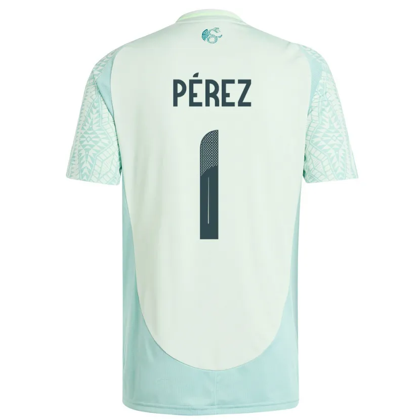 Danxen Børn Mexico Emiliano Perez #1 Linen Grøn Udebane Spillertrøjer 24-26 Trøje T-Shirt